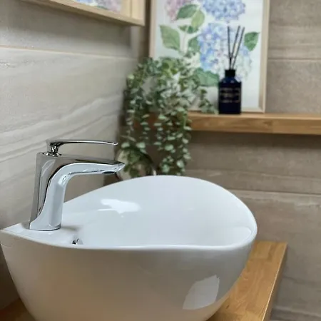 Forest * Druskininkai