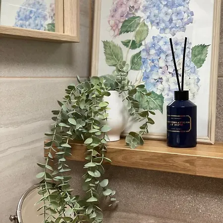 Forest * Druskieniki