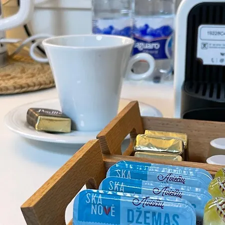 Forest Apartament Druskieniki