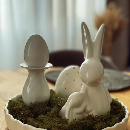 Forest * Druskininkai