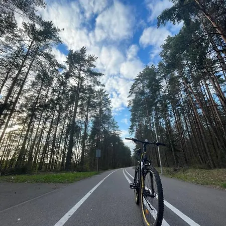 Forest * Druskininkai