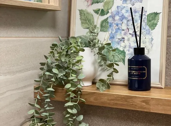 Forest * Druskininkai