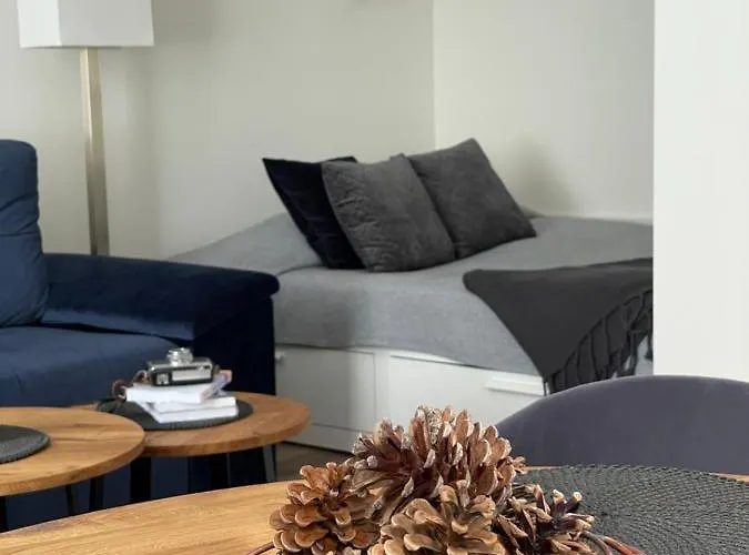 Apartament Forest Druskieniki