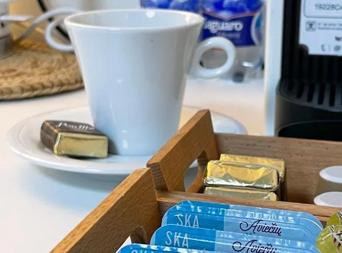 Forest Apartament Druskieniki