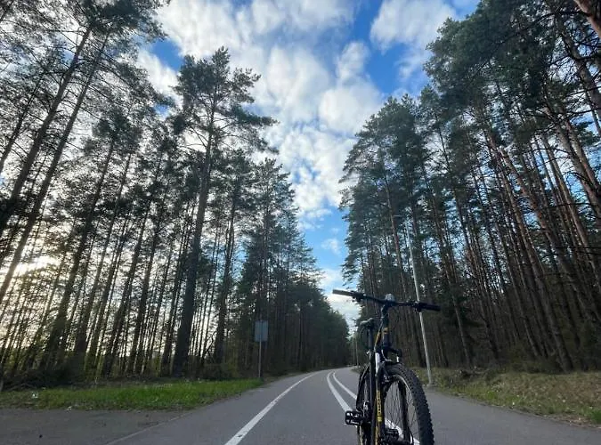 Forest * Druskieniki